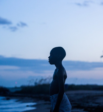 30 DIAS GRÁTIS - MUBI thumbnail