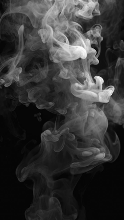 Posing intake form thumbnail