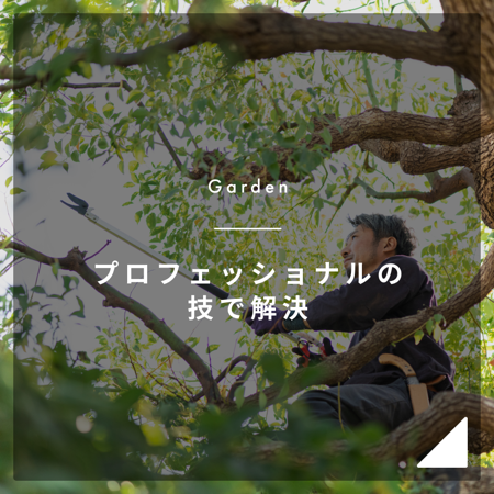 TAKUMee ガーデニング一括比較 thumbnail