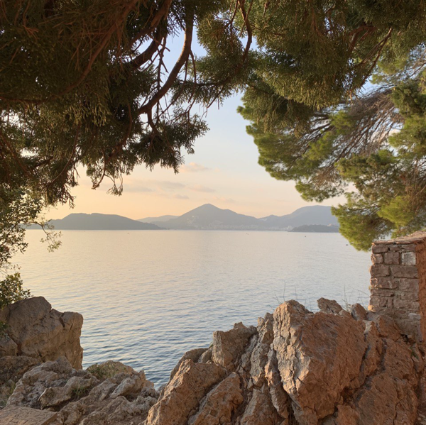 BioSite profile picture for @montenegro