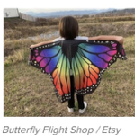 Buzzfeed best gift list: #6 wings thumbnail