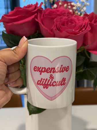 🔗 “expensive & difficult” mug thumbnail