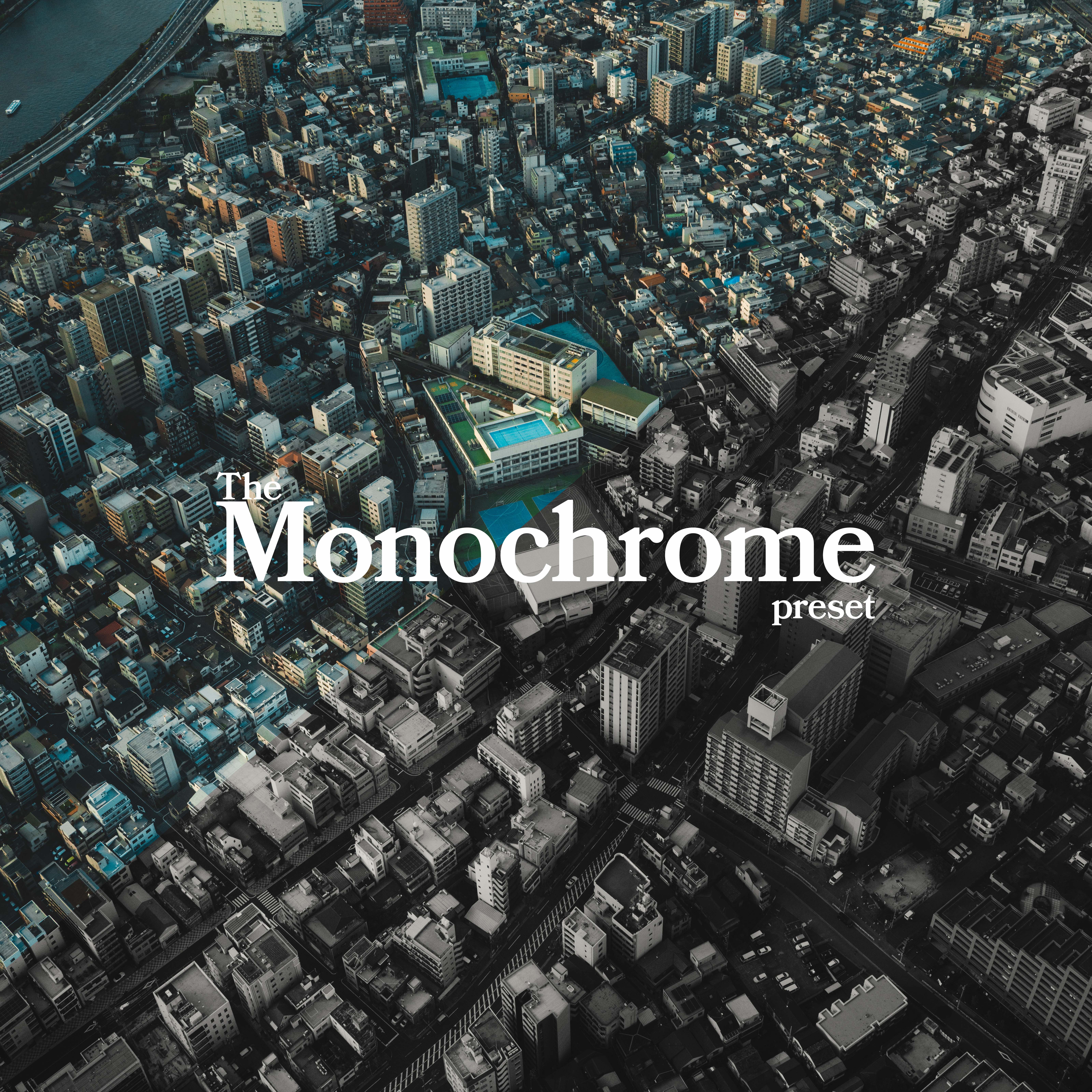 Monochrome N°01 | Preset | $20 thumbnail