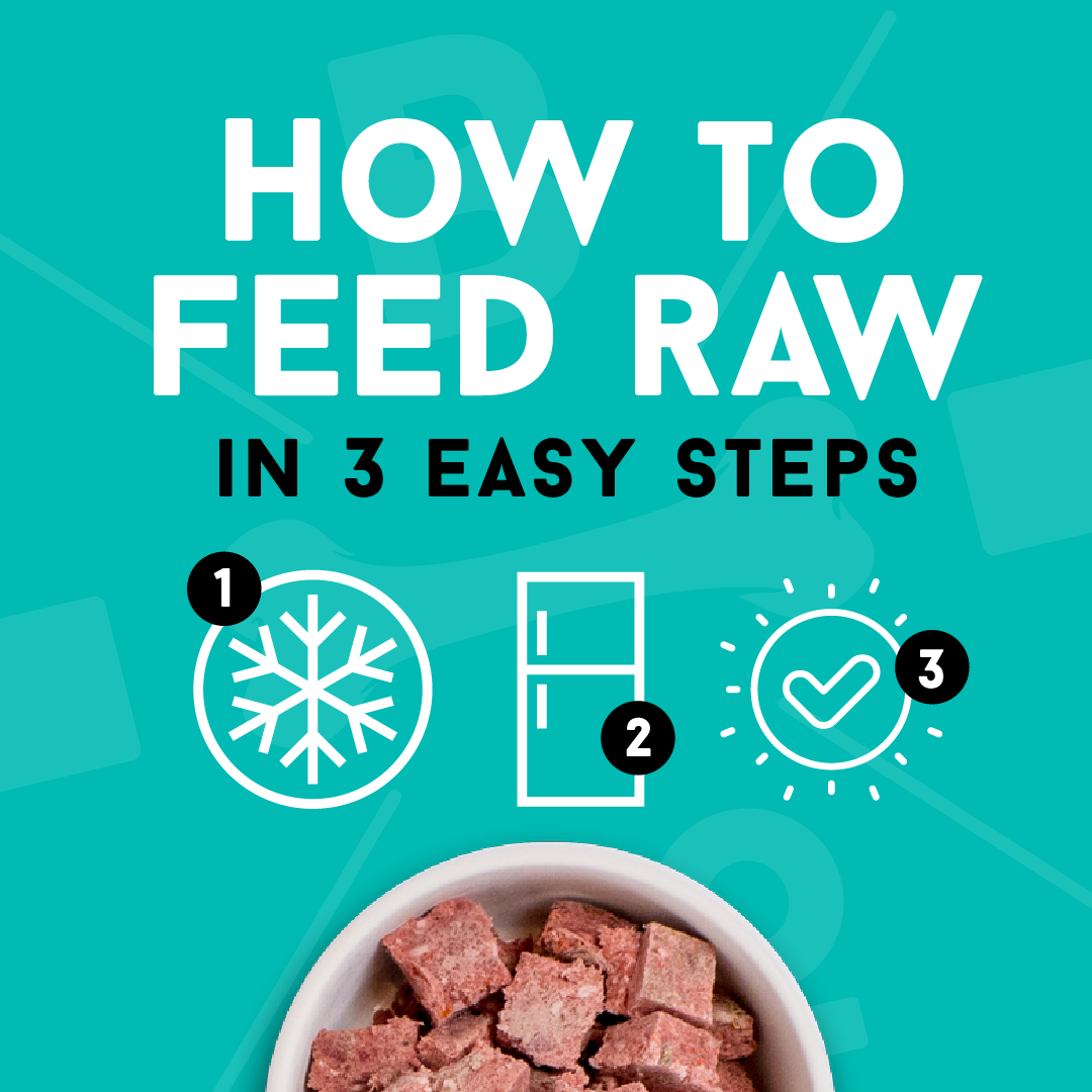 How to Feed Raw Dog Food thumbnail