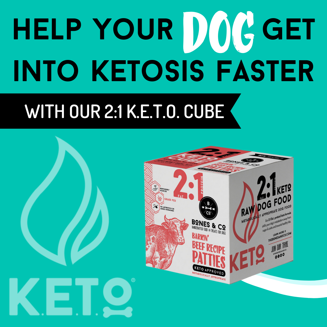 2:1 Keto Cube thumbnail