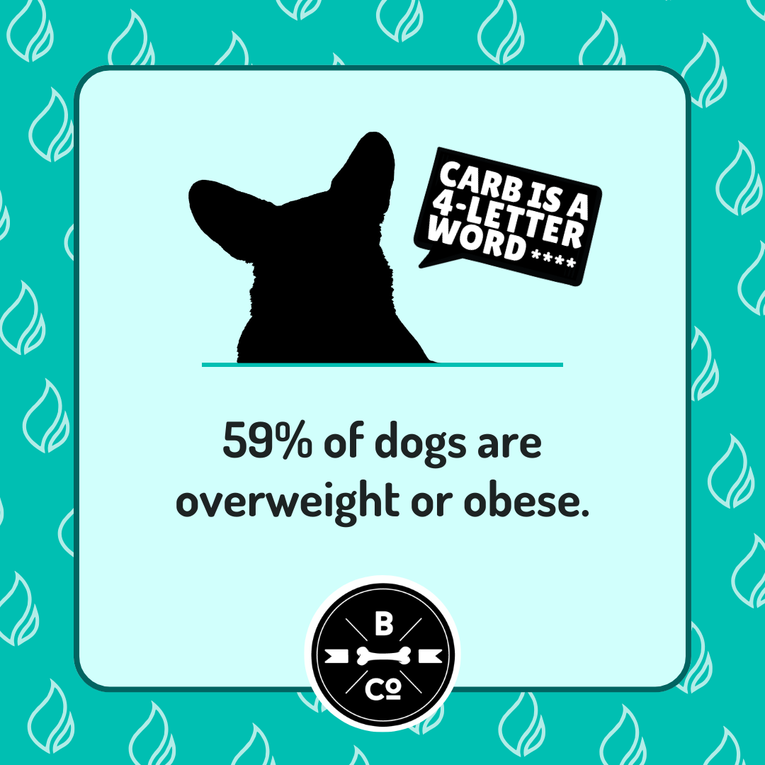 Fat Cats & Greedy Dogs: Discussion of Animal Obesity on Social Media Varies by Species thumbnail