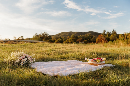 Seasonal Minis  thumbnail