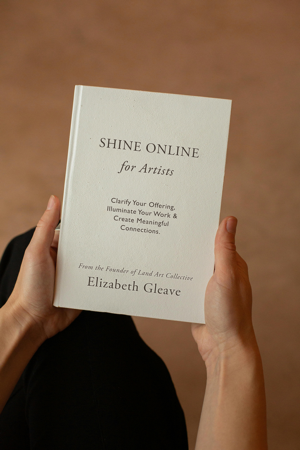 Shine Online for Artists • Book thumbnail