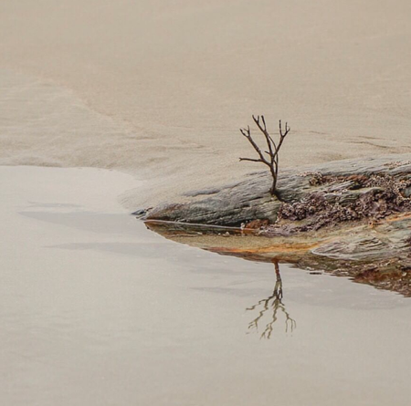 Connect with our NOTES FOR CREATIVES | SUBSTACK thumbnail