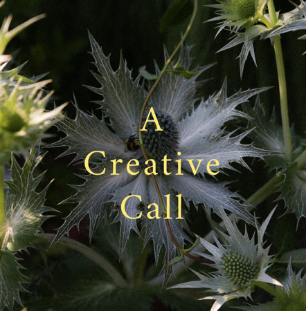 Book your FREE 15 minute Creative Consultation  thumbnail