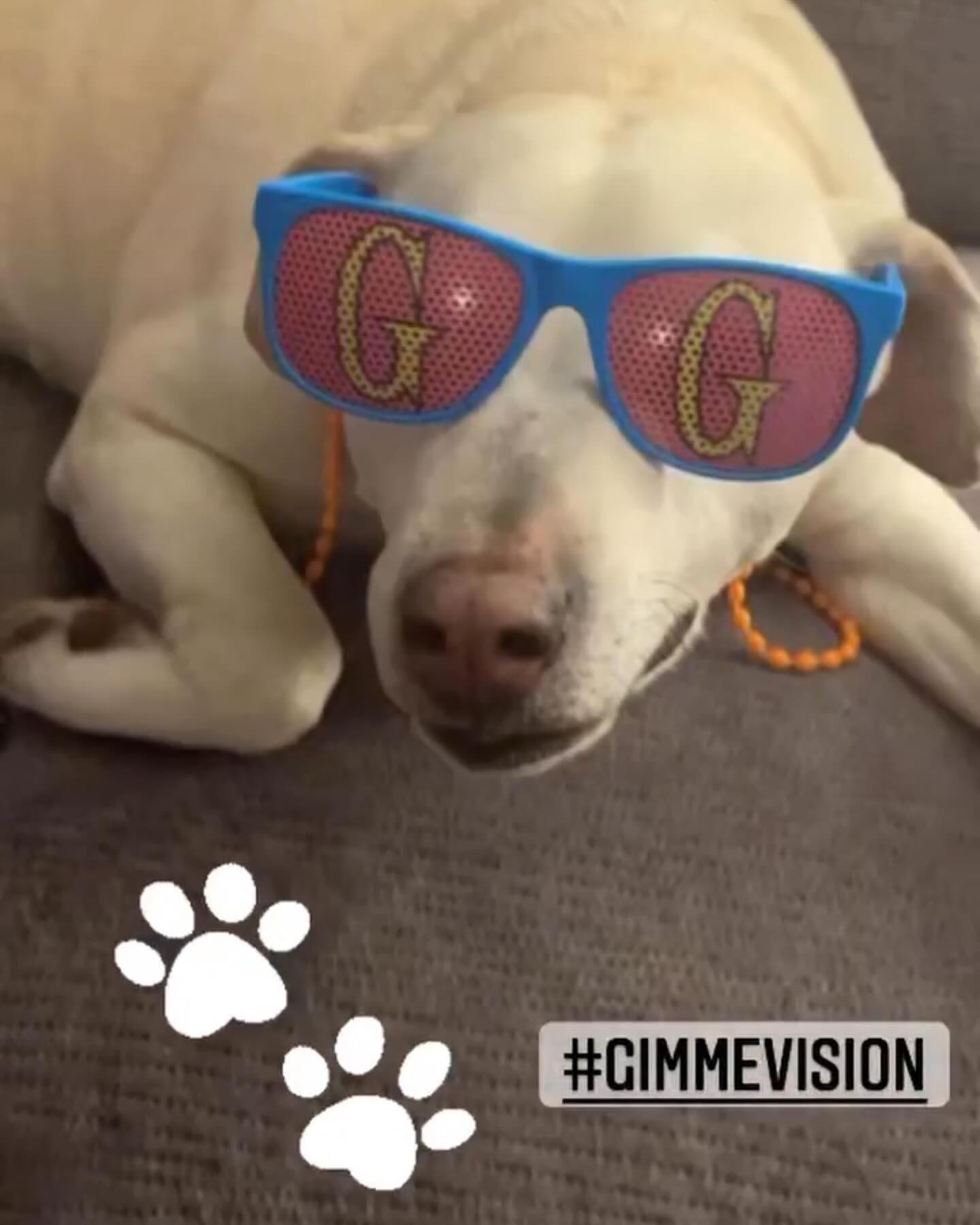 #gimmevision throwback