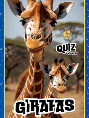 Vídeos para tiktok, eu faço e vc faz as alterações. #designergrafico #edit #editor #canva #canvadesign 