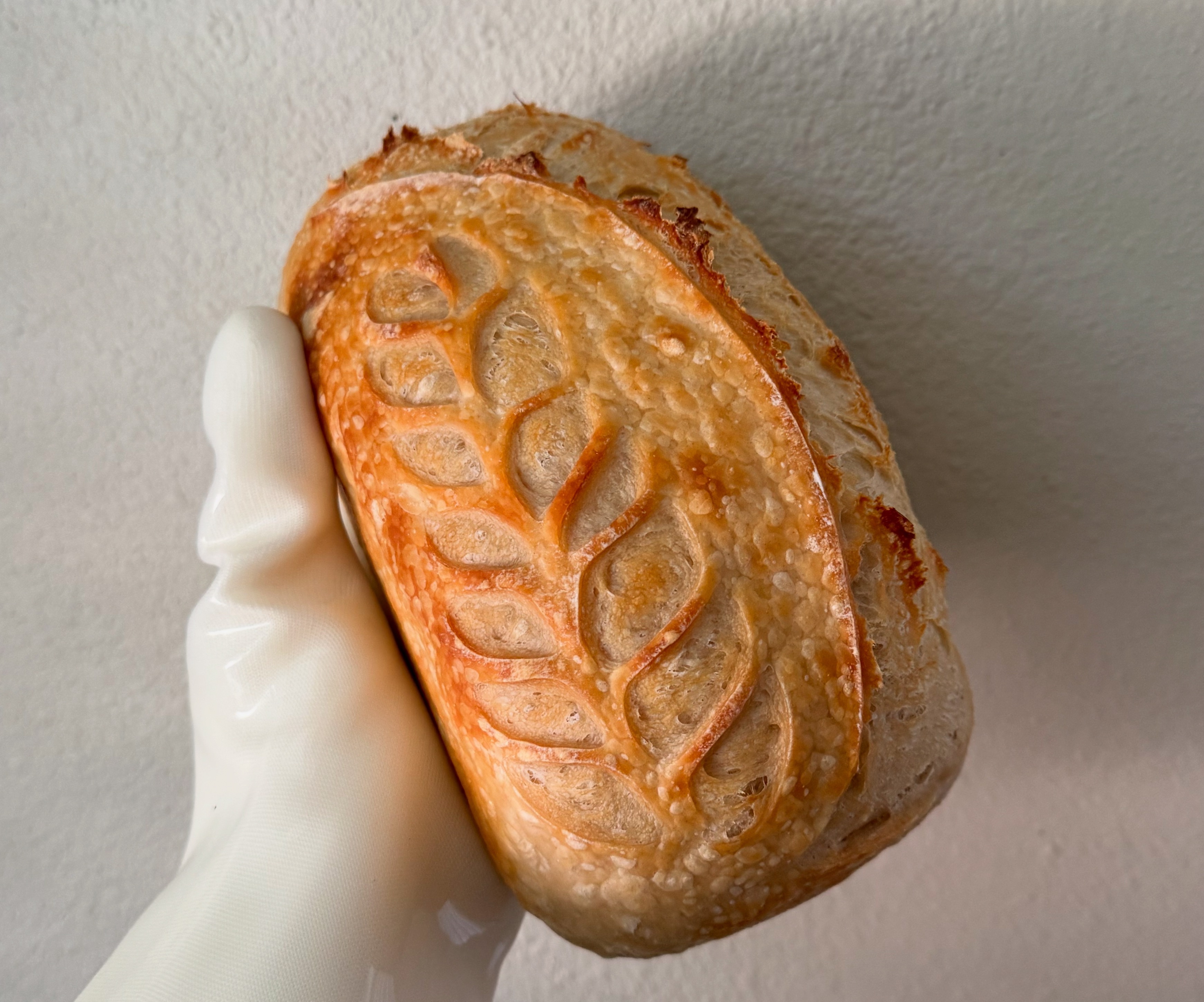 ORDER HERE  thumbnail