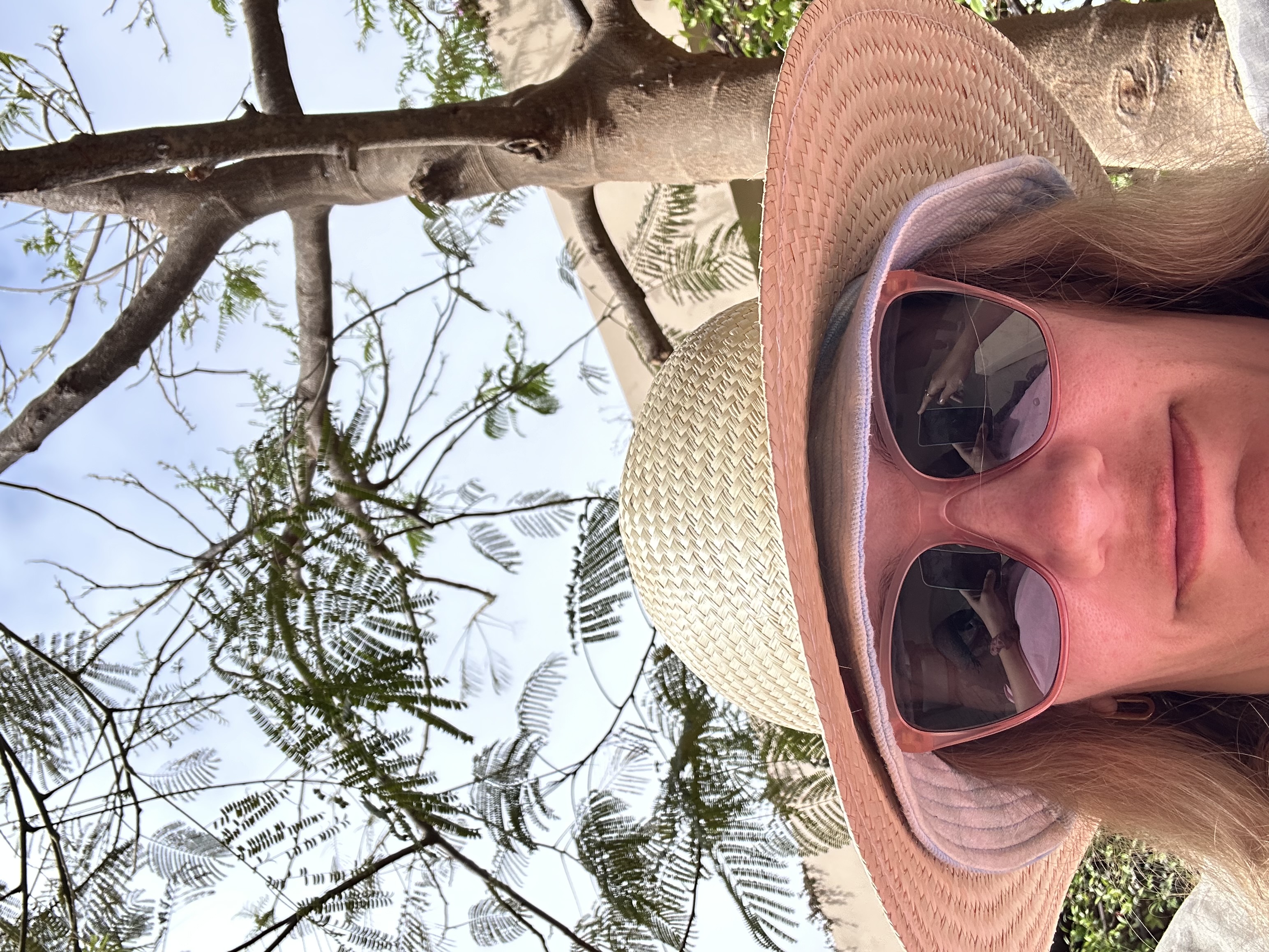 Shop My Amazon Storefront thumbnail