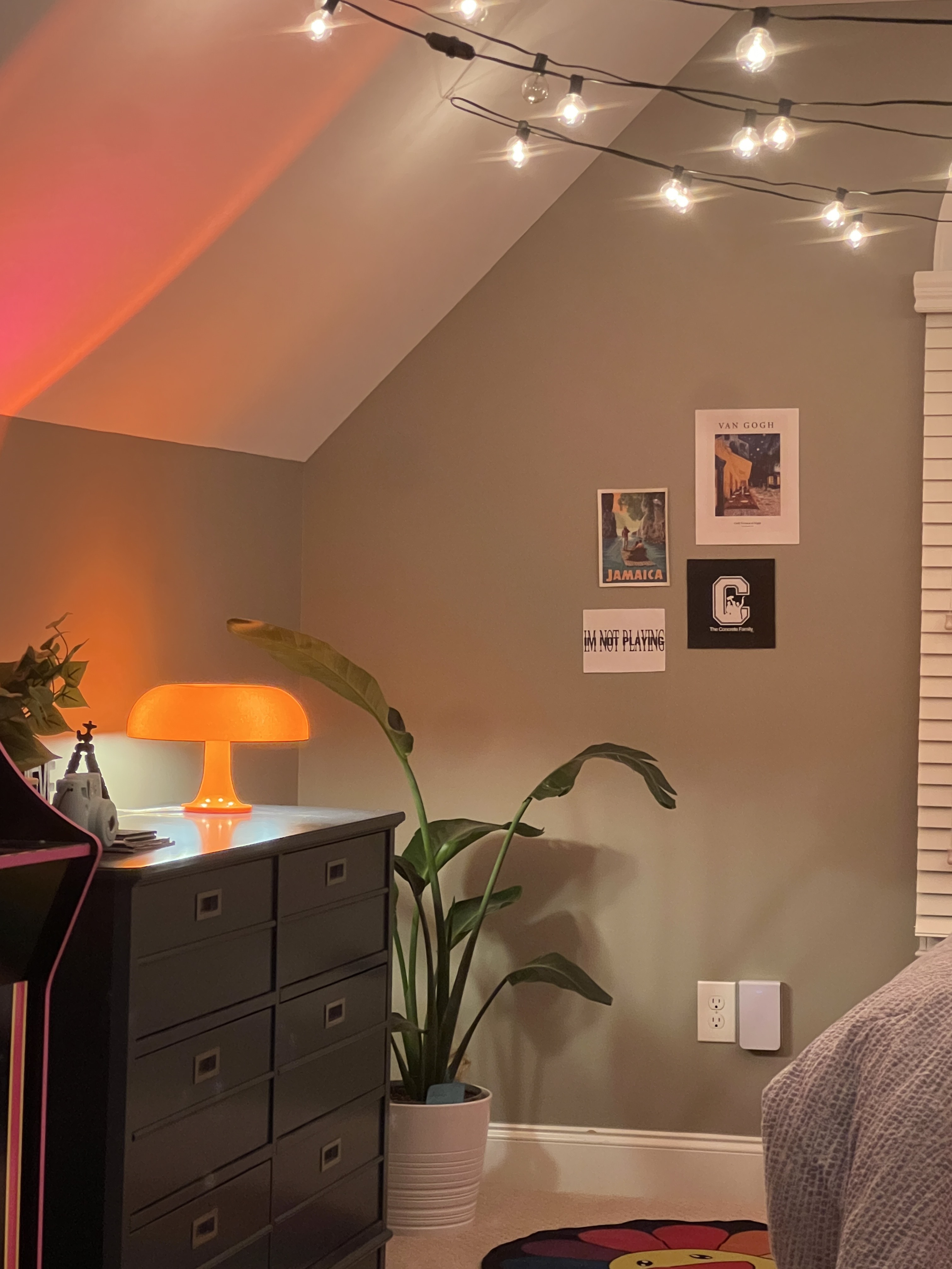 room decor & lighting  thumbnail