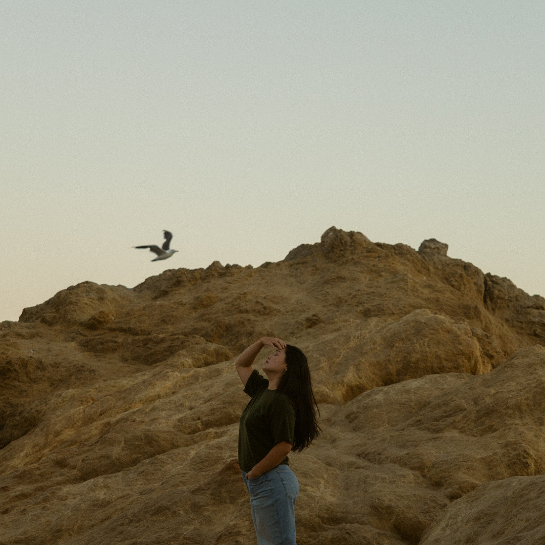 Nervous System Coaching Program APPLICATIONS ARE OPEN thumbnail