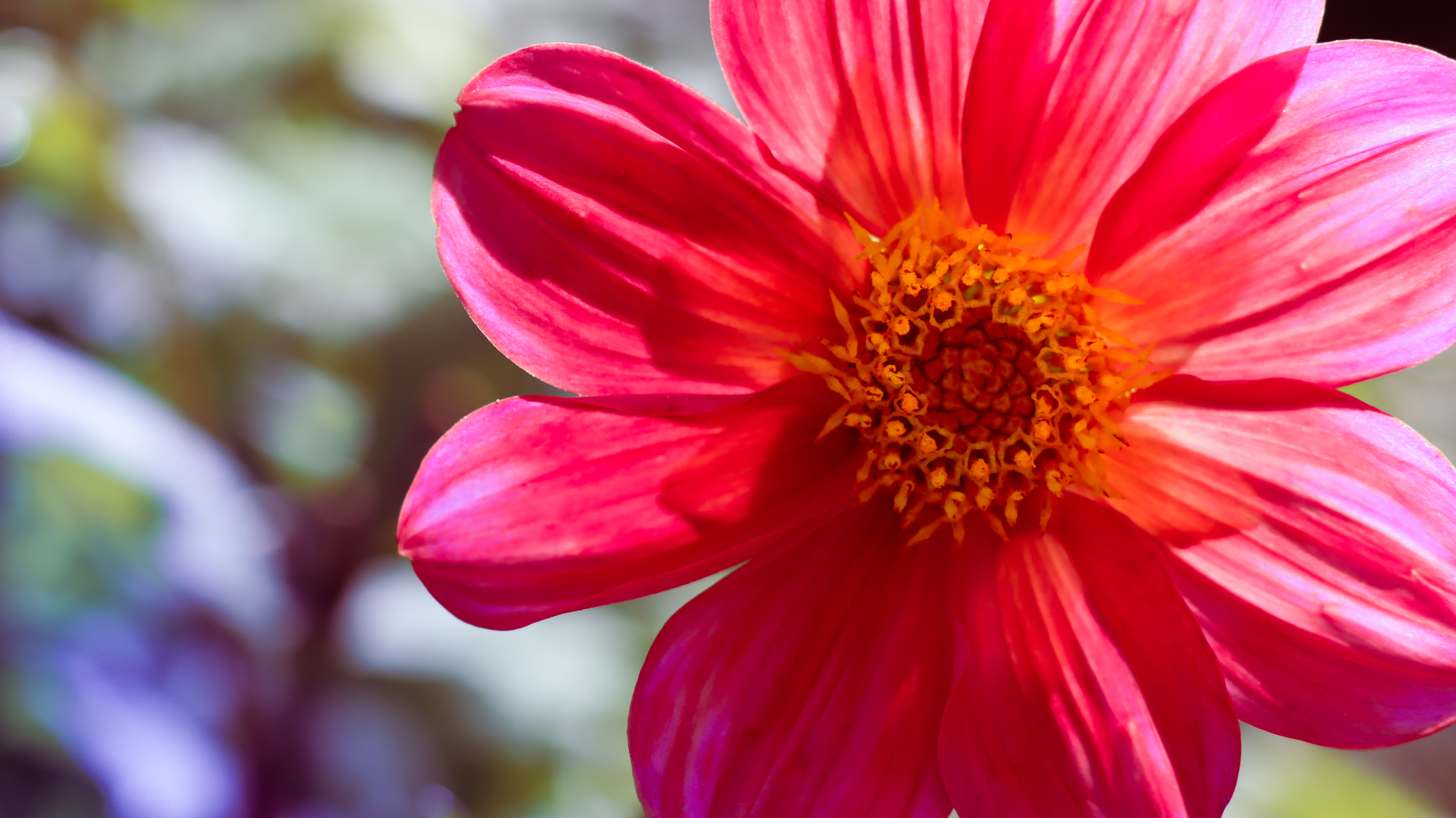 Unsplash thumbnail