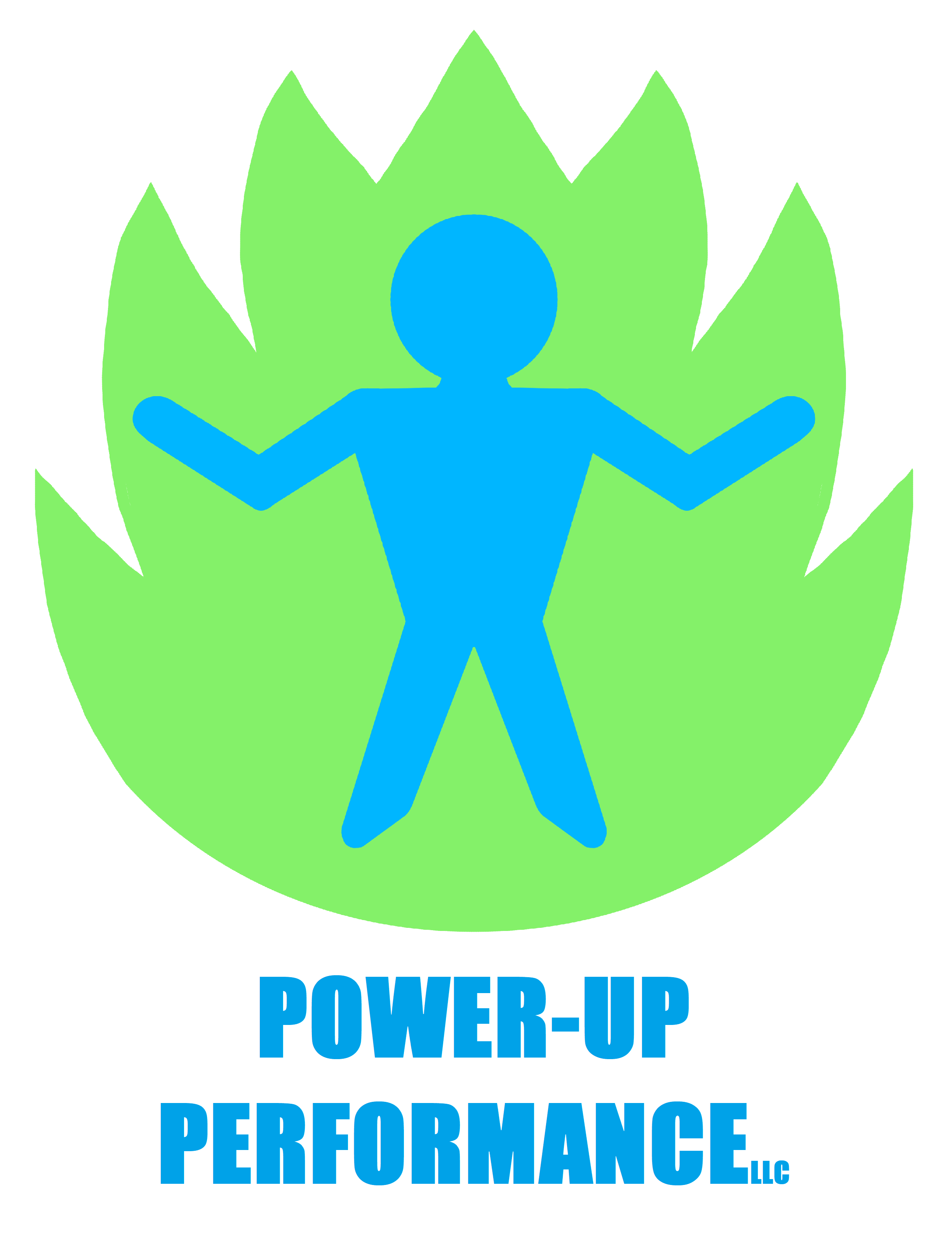 Power-Up Performance LLC website thumbnail