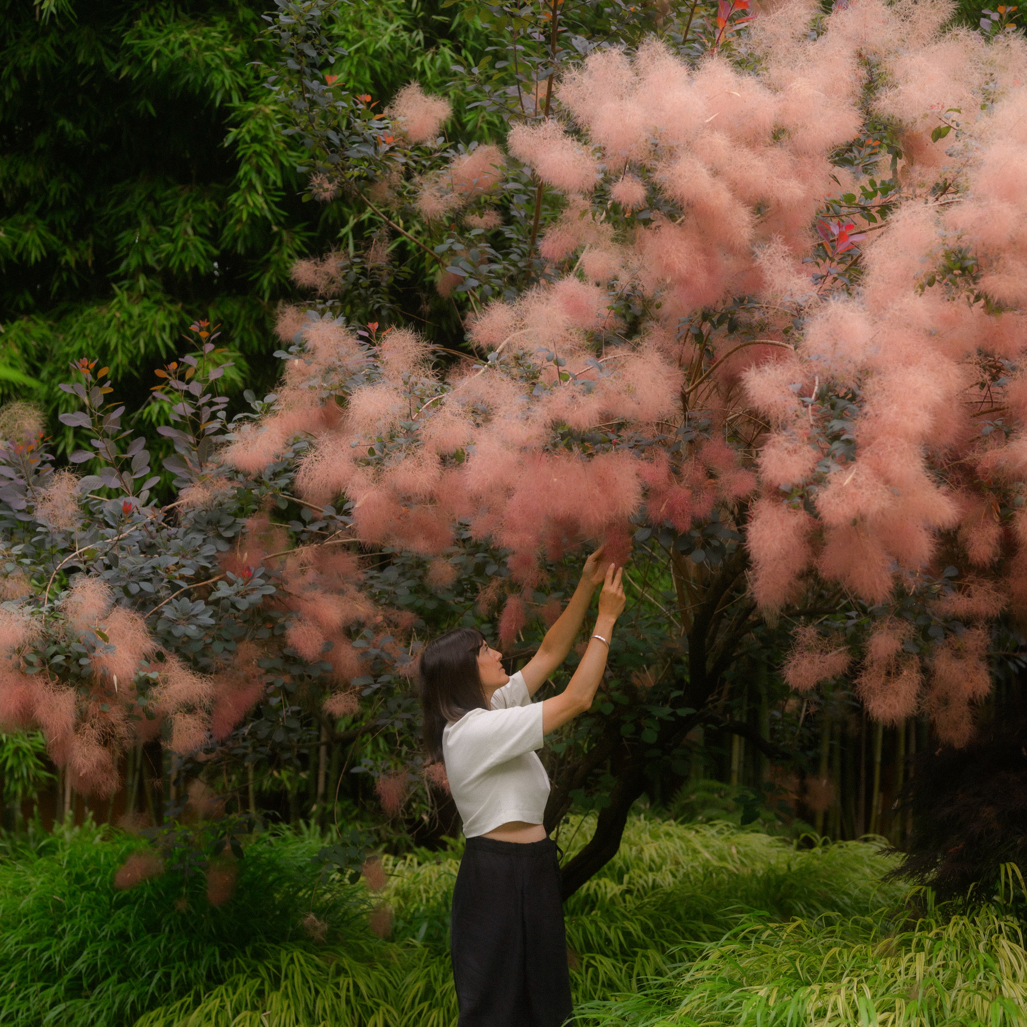 Victory Gardens by Old Faithful Shop thumbnail