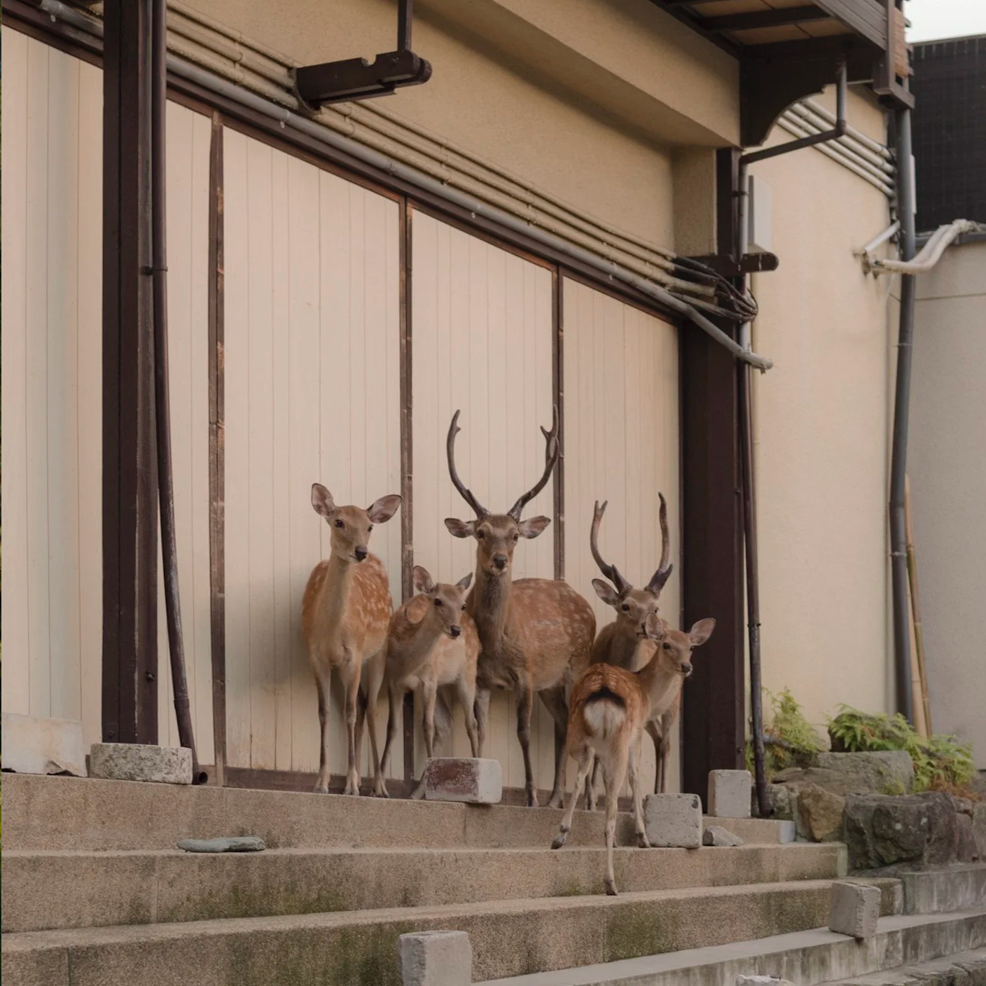 Sehnsucht Exhibition, Capture Photography Festival thumbnail