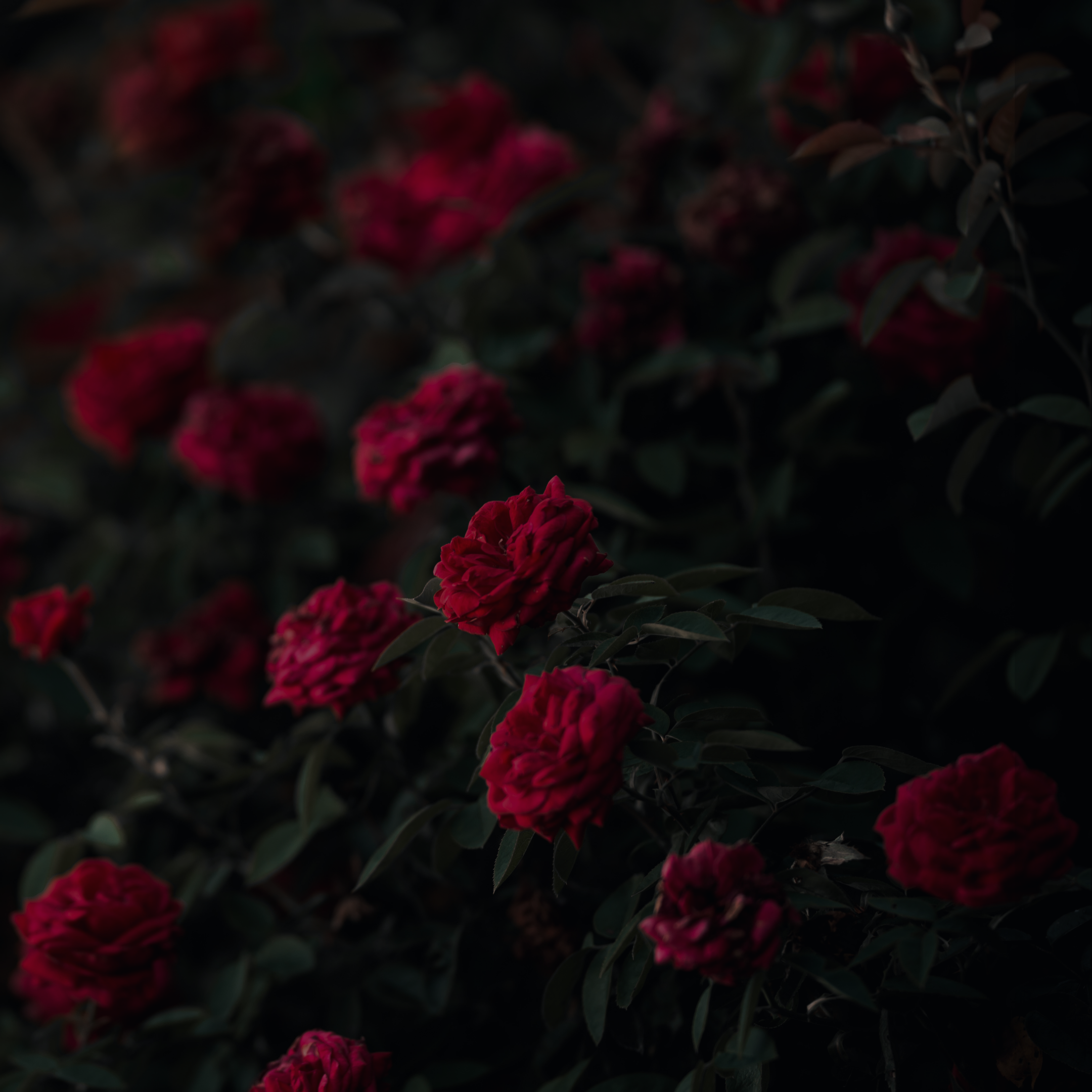 relationship astro consultation 30% off with code 'cosmiclove' thumbnail