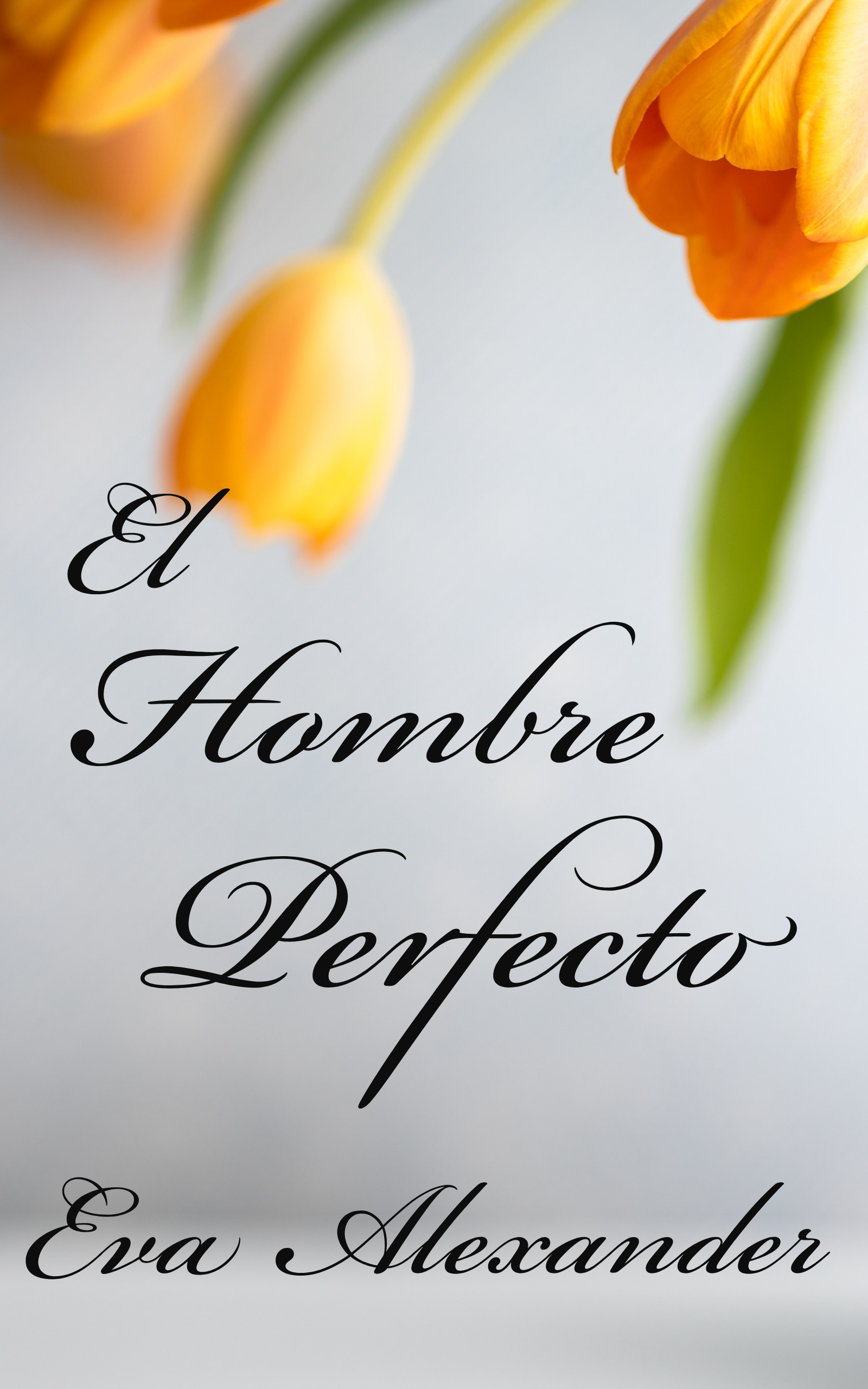 El hombre perfecto (El Pacto nº 1)  thumbnail