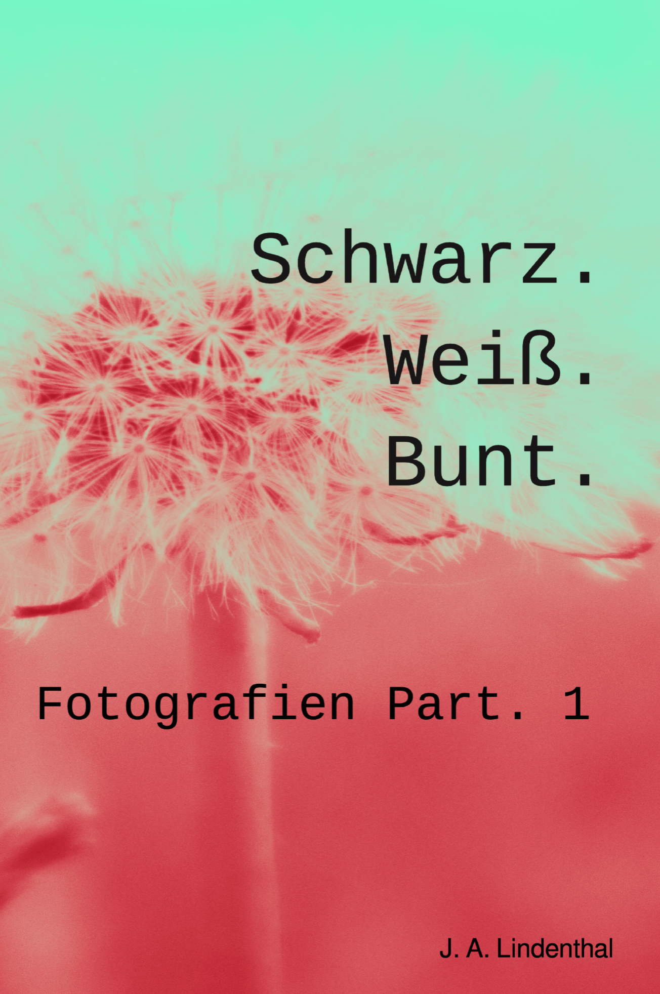 Photo Book Schwarz. Weiß. Bunt. Fotografien Part. 1 thumbnail