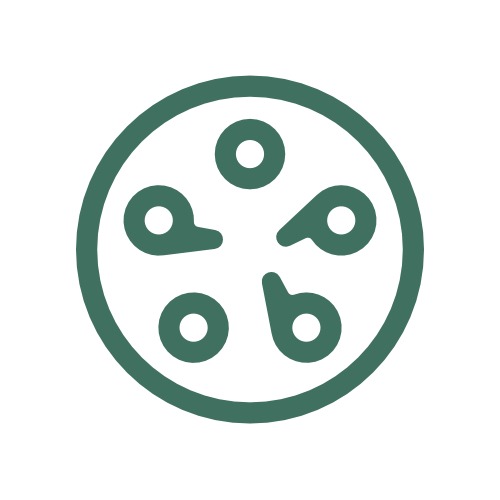 Visiter mon site&nbsp;Internet thumbnail