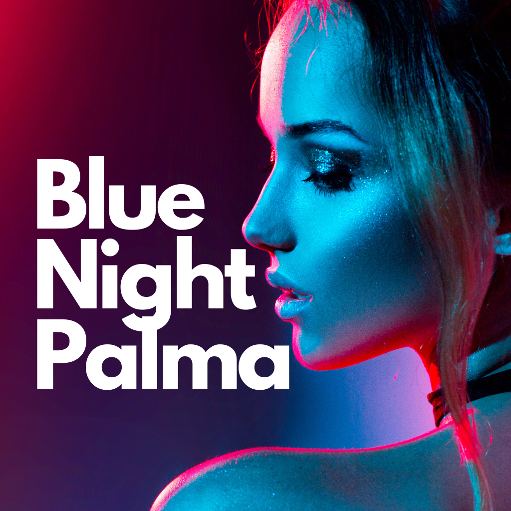 Blue Night Palma Website thumbnail