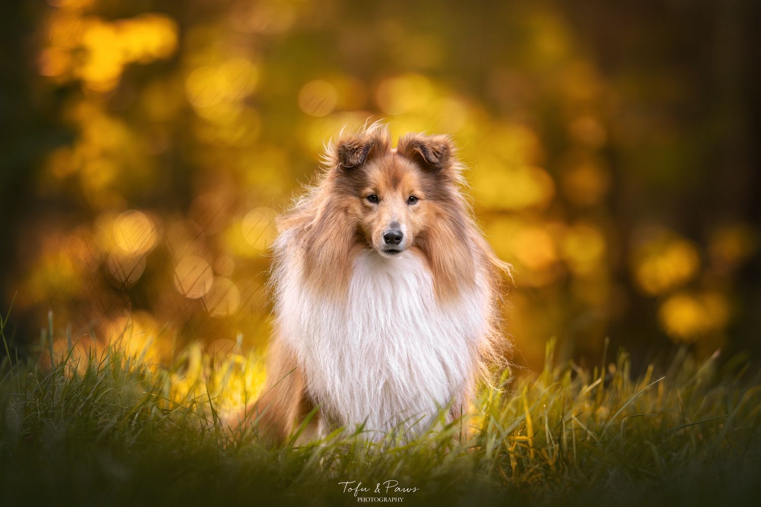 -10% Avec le code ROMEO10 thumbnail