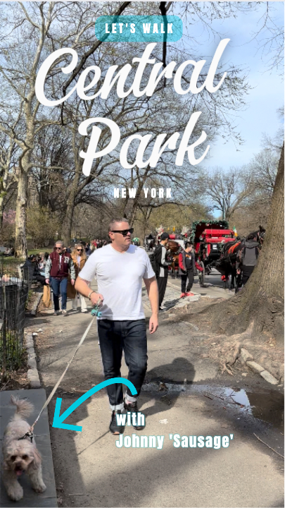 Walk Central Park New York with our itinerary  thumbnail