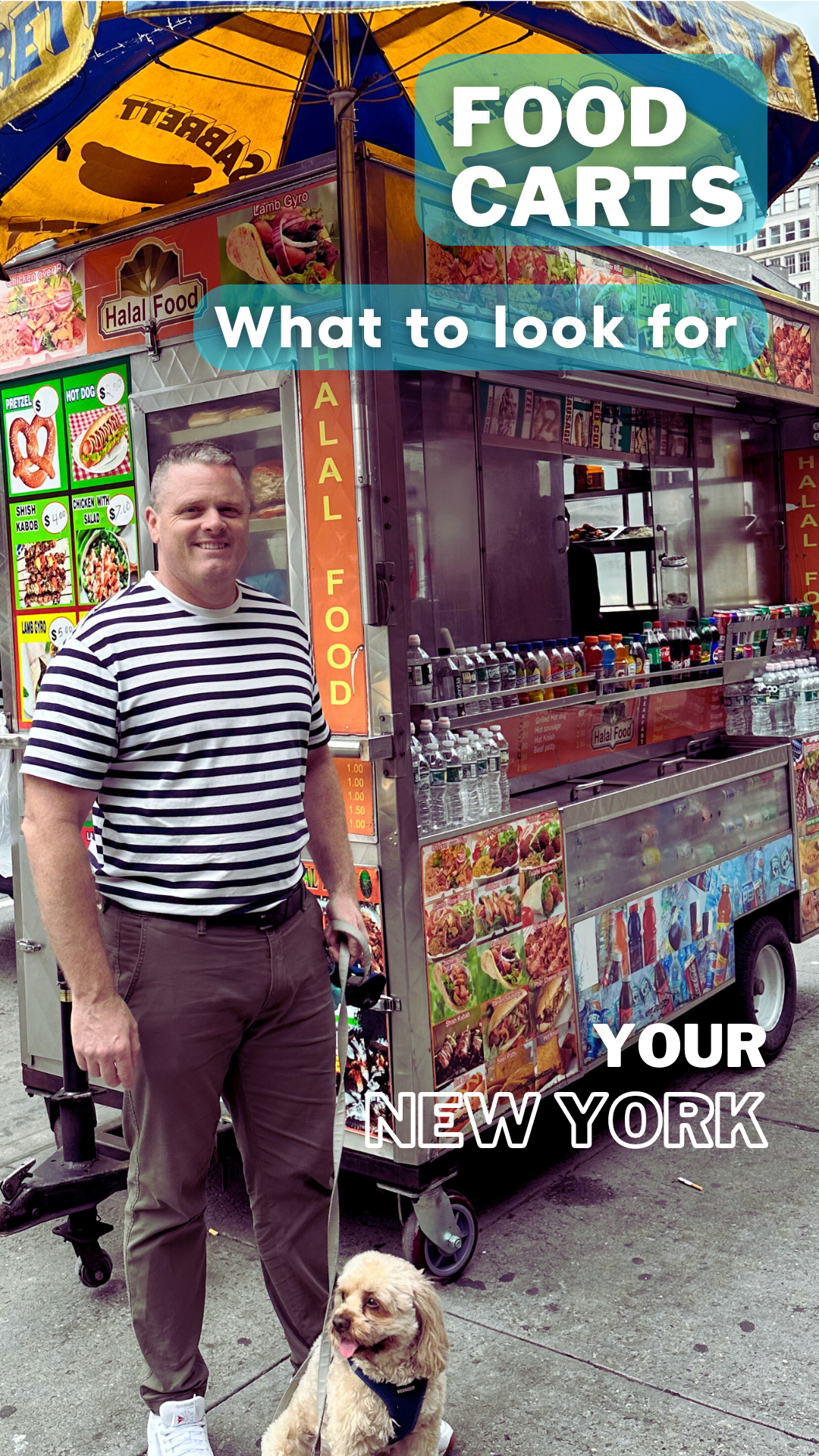 NYC food carts - What to look for  thumbnail