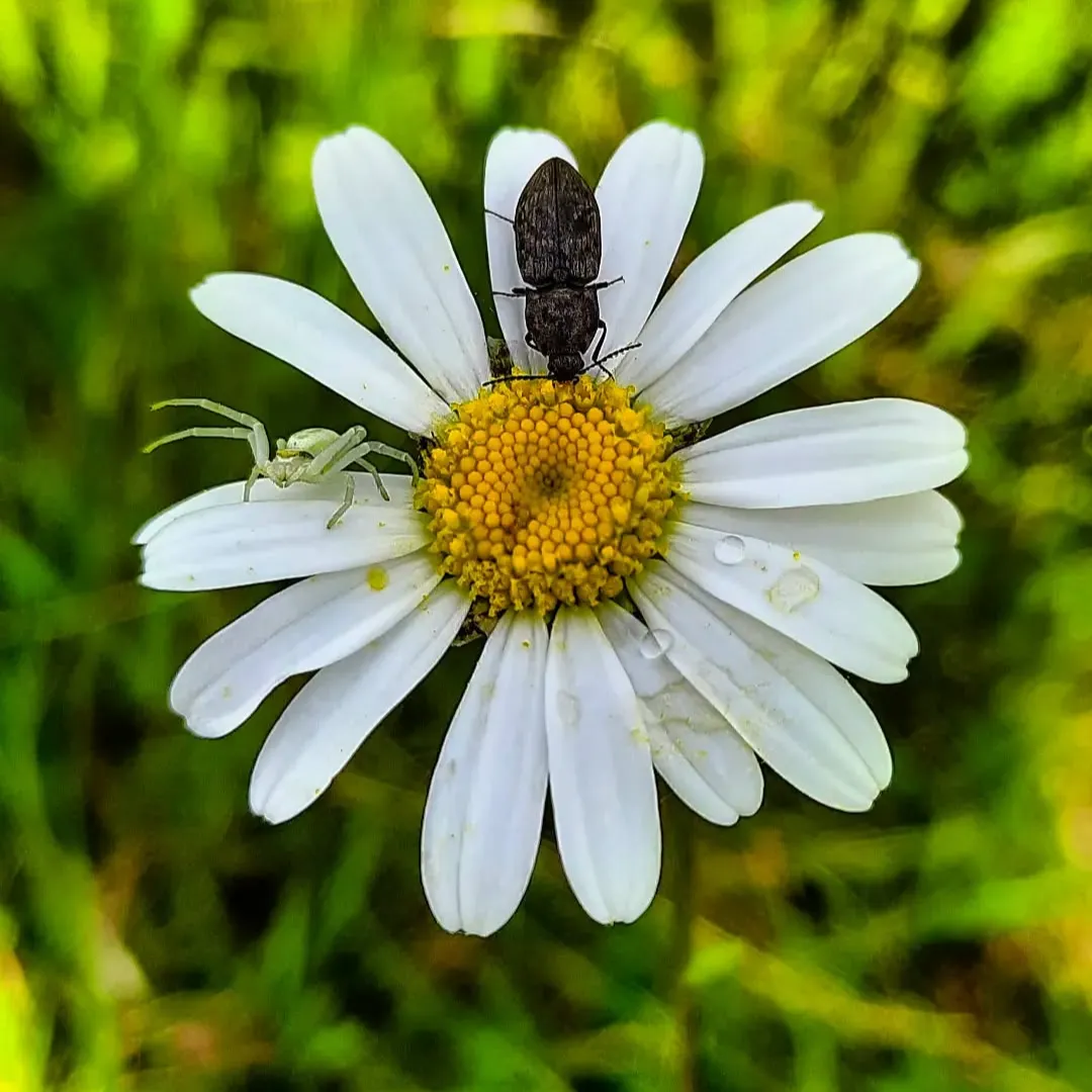 coolfotosy [Instagram] thumbnail