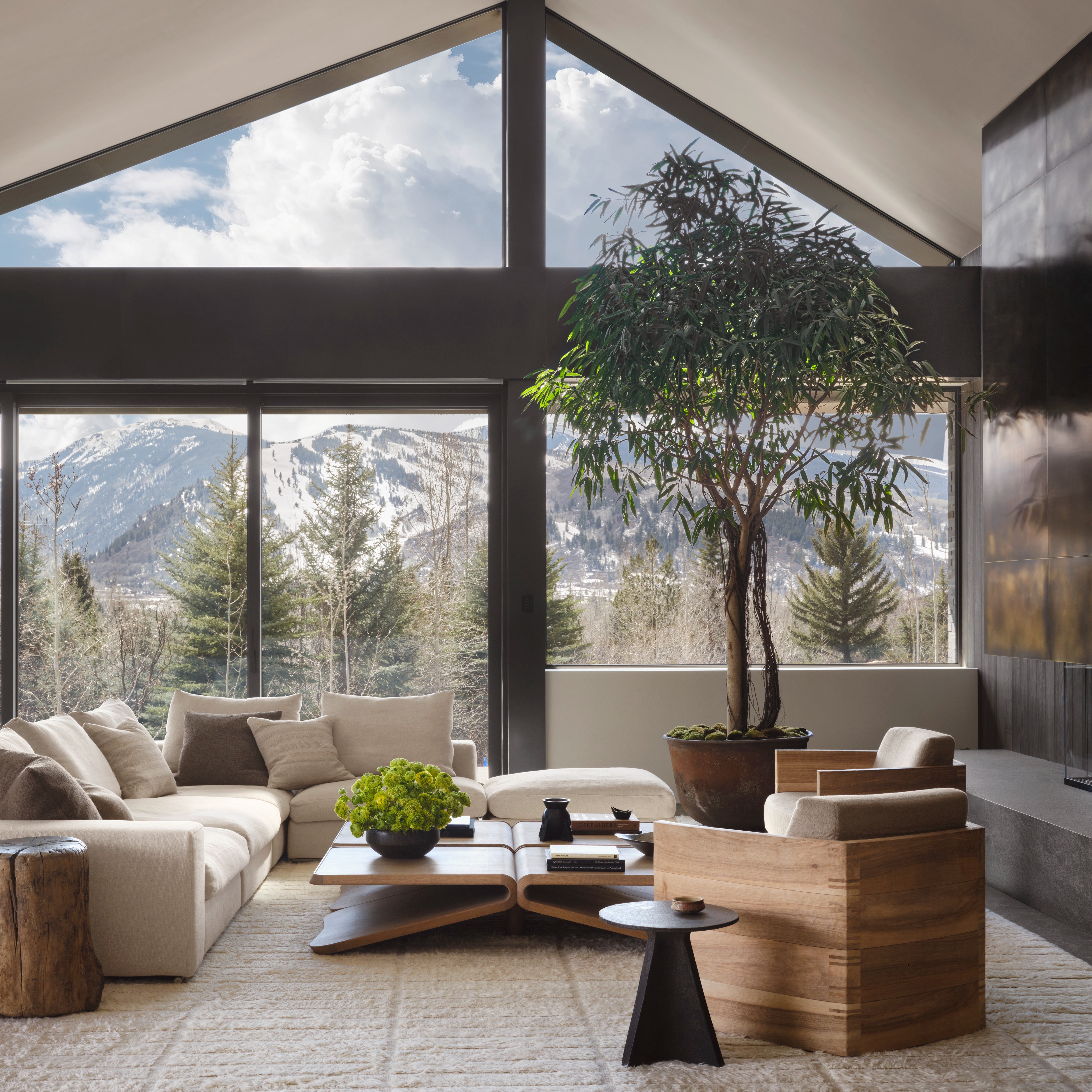 1st Dibs Aspen thumbnail