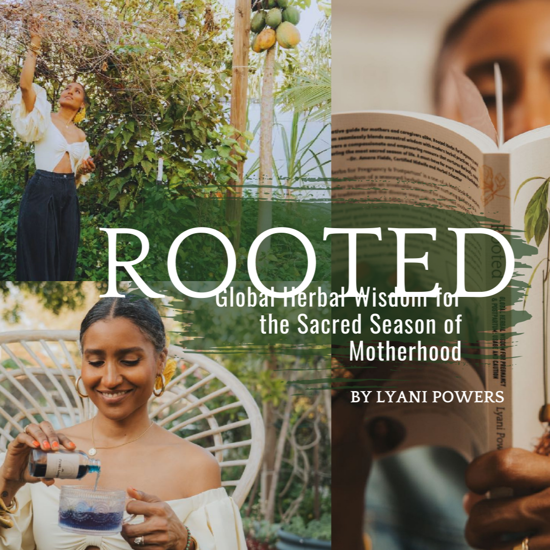 Rooted Project EPK thumbnail