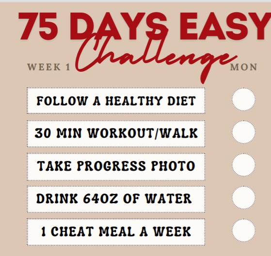 75 Days Easy Tracker Planner.pdf.pdf thumbnail