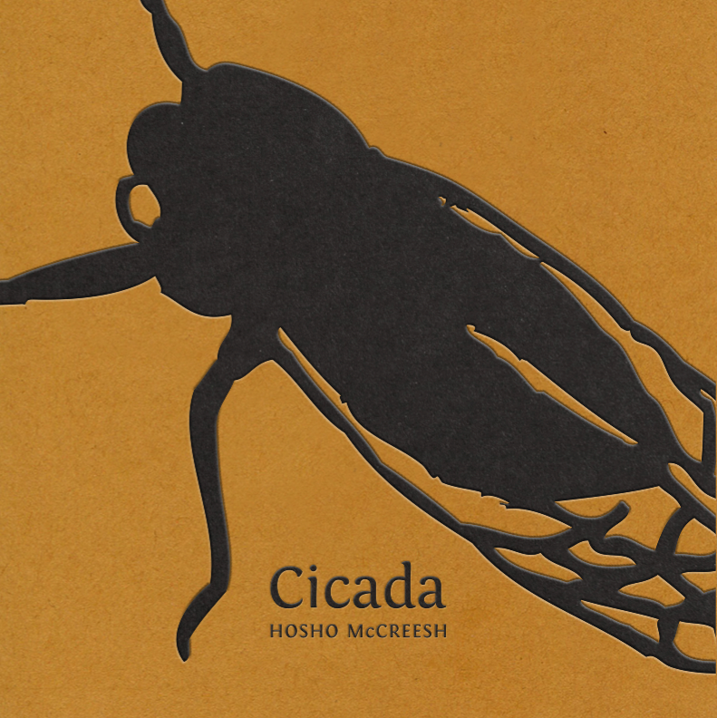 Cicada thumbnail