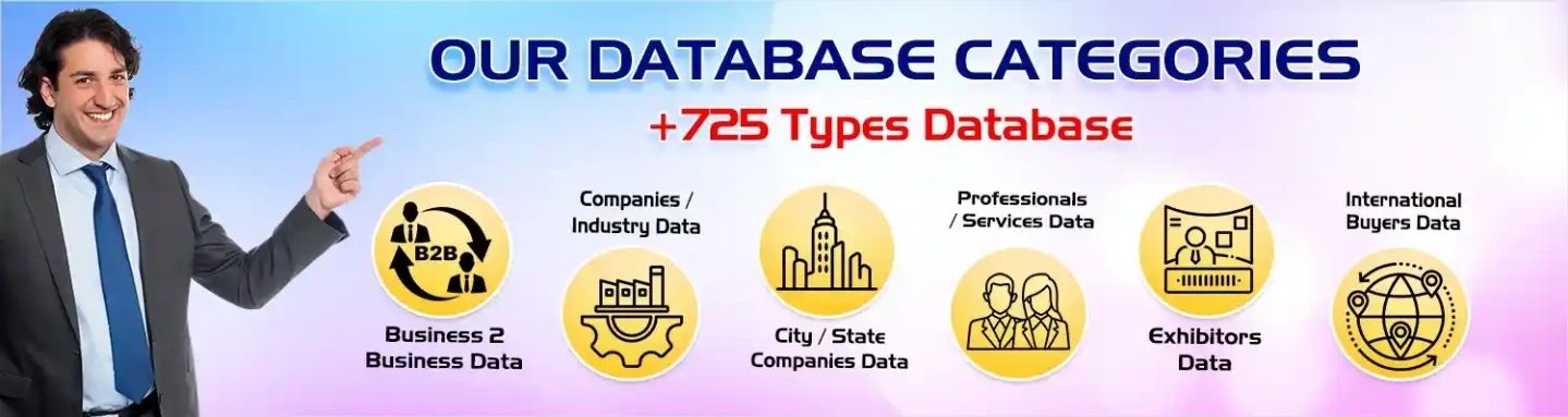 B2B Companies Database Provider in India thumbnail