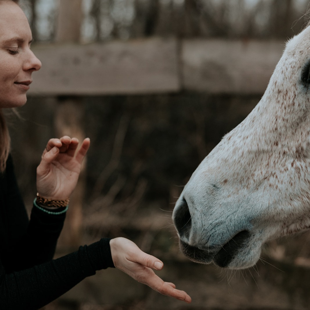 Vuurwerk nazorg Healing Sessie. thumbnail