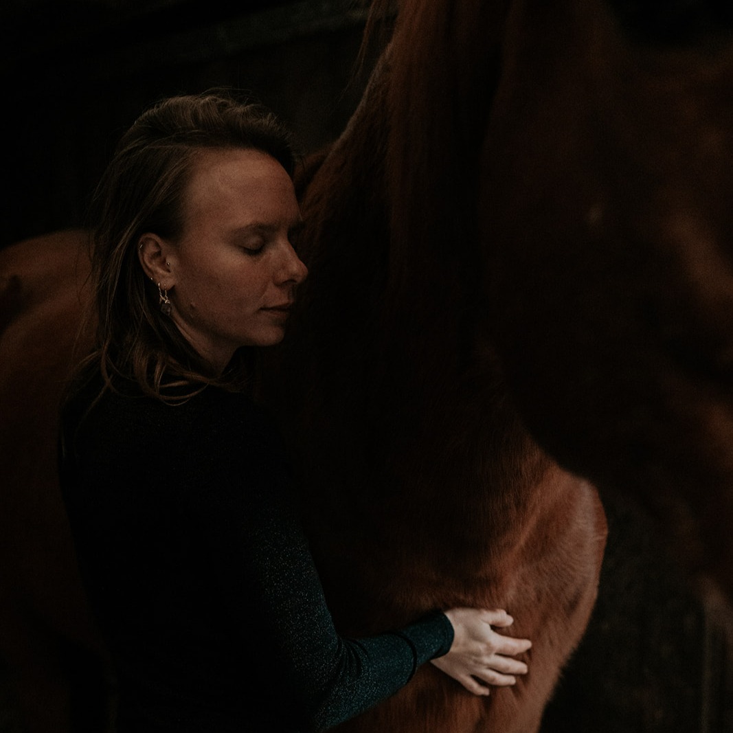 The Energetic Animal Session thumbnail