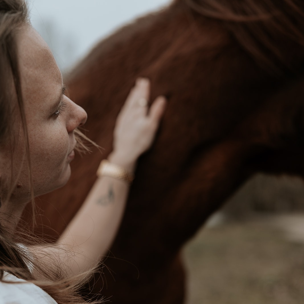 REMEMBER - The Animal Connection Edition thumbnail