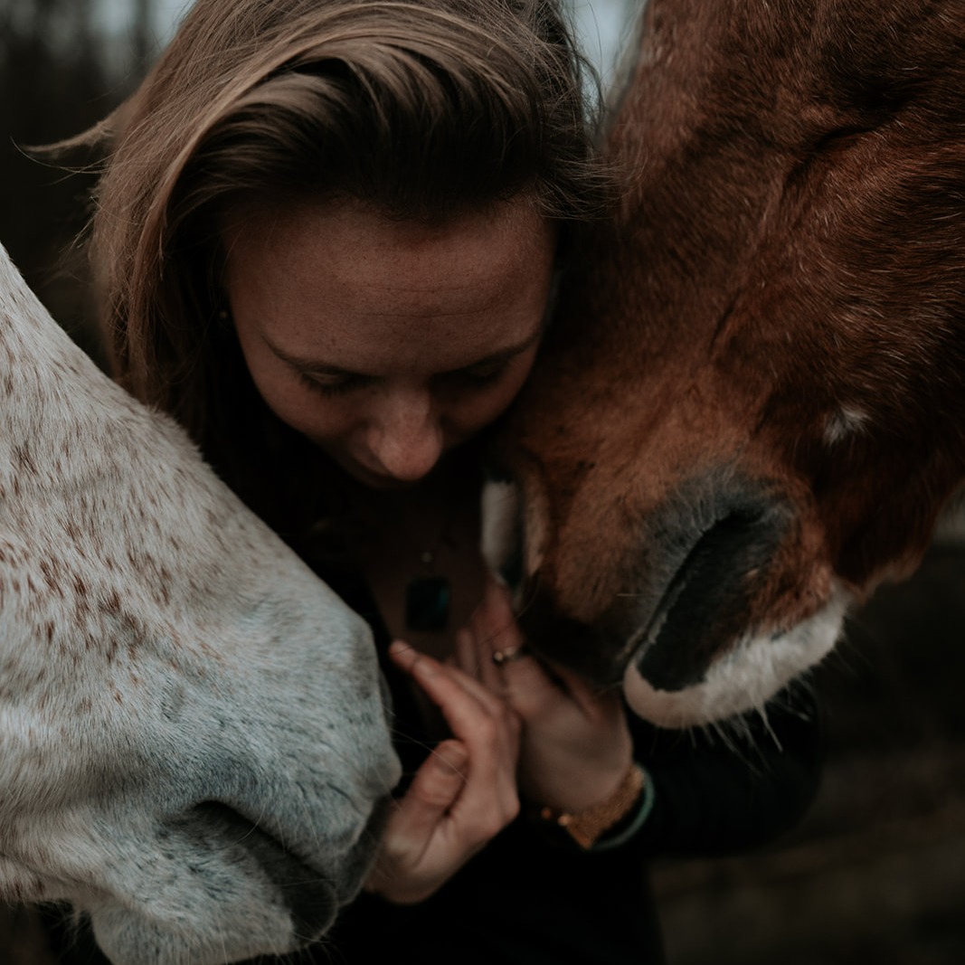 Animal Connection Scan thumbnail