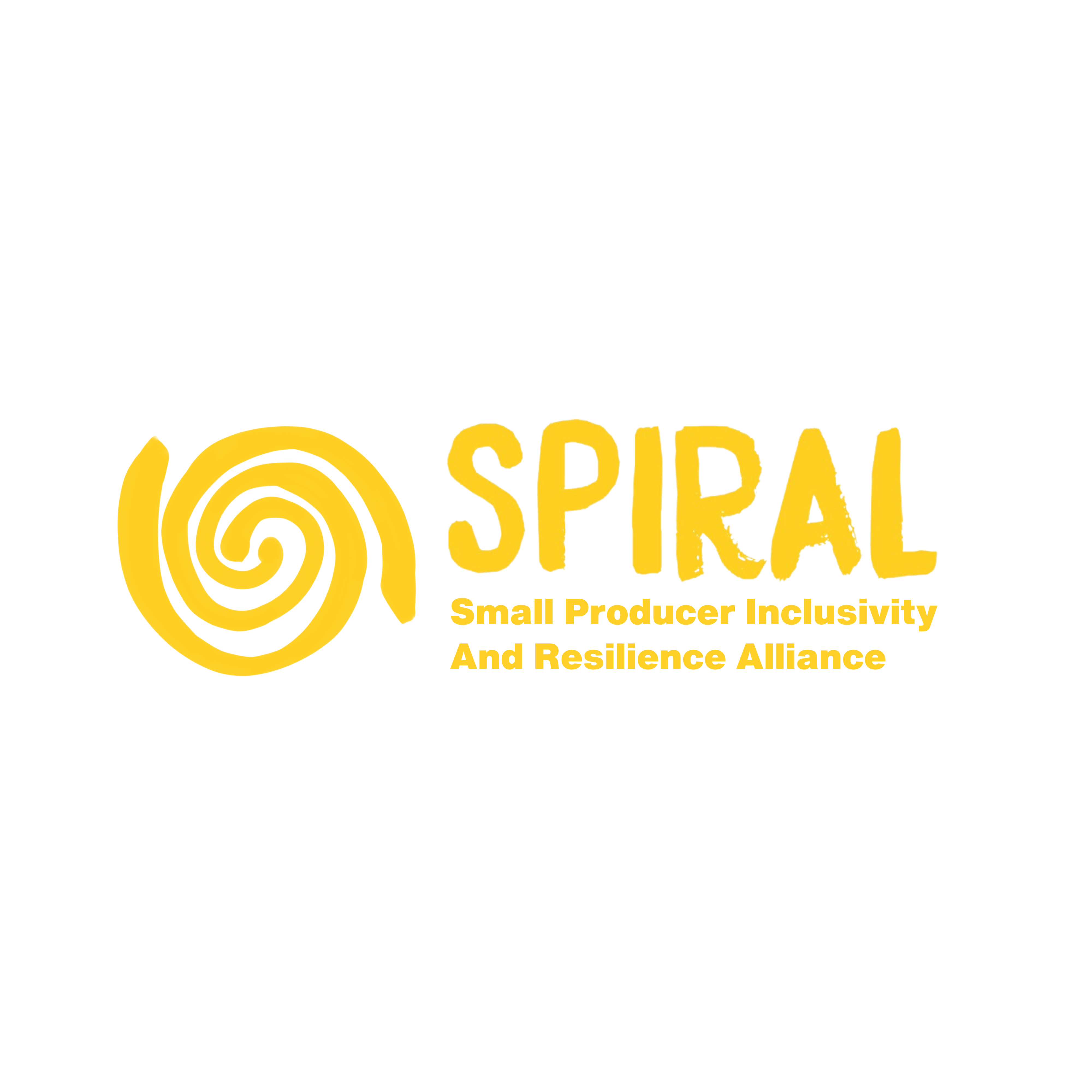 Learn More About Our SPIRAL Programme thumbnail