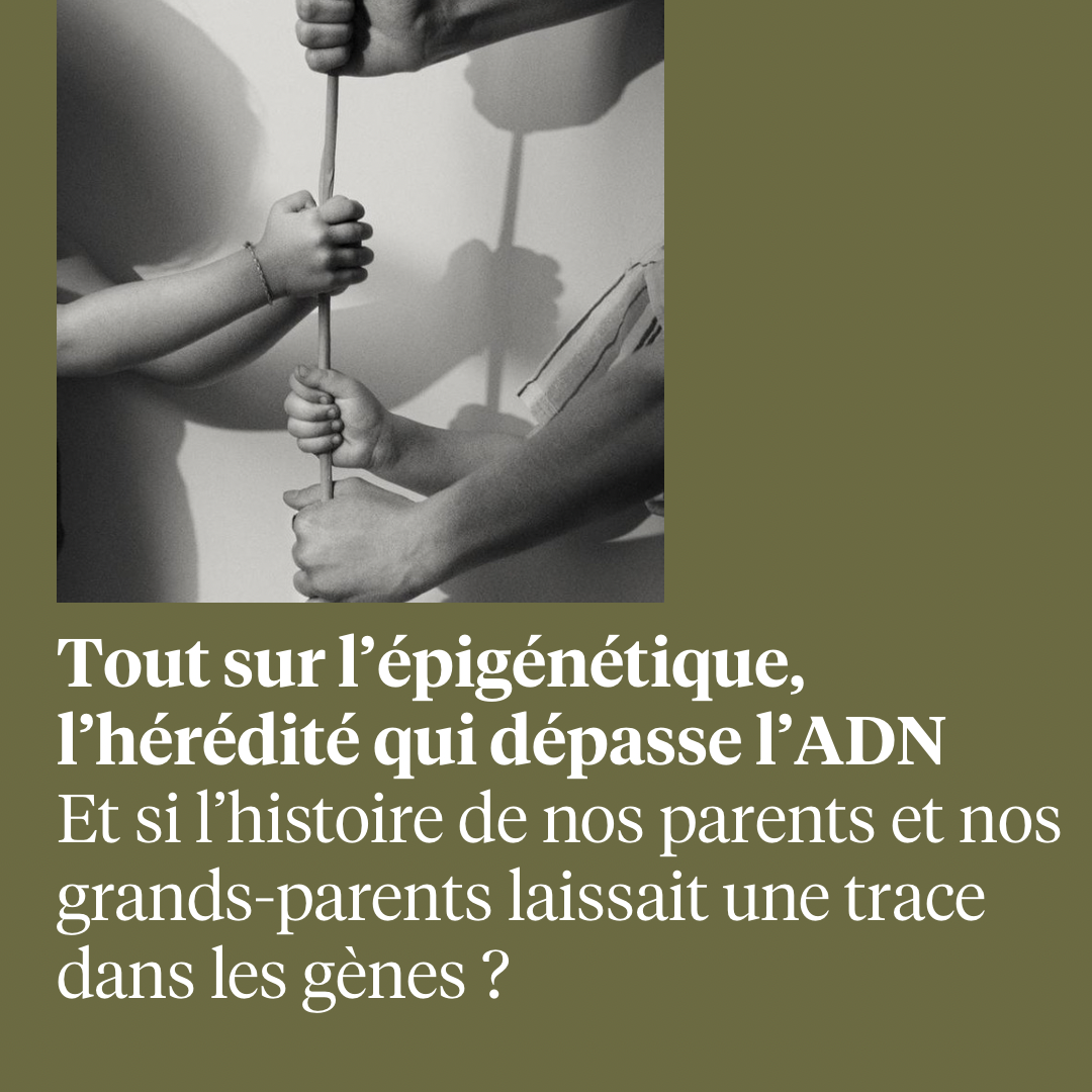 TOUT SUR L’ÉPIGÉNÉTIQUE, L’HÉRÉDITÉ QUI DÉPASSE L’ADN thumbnail