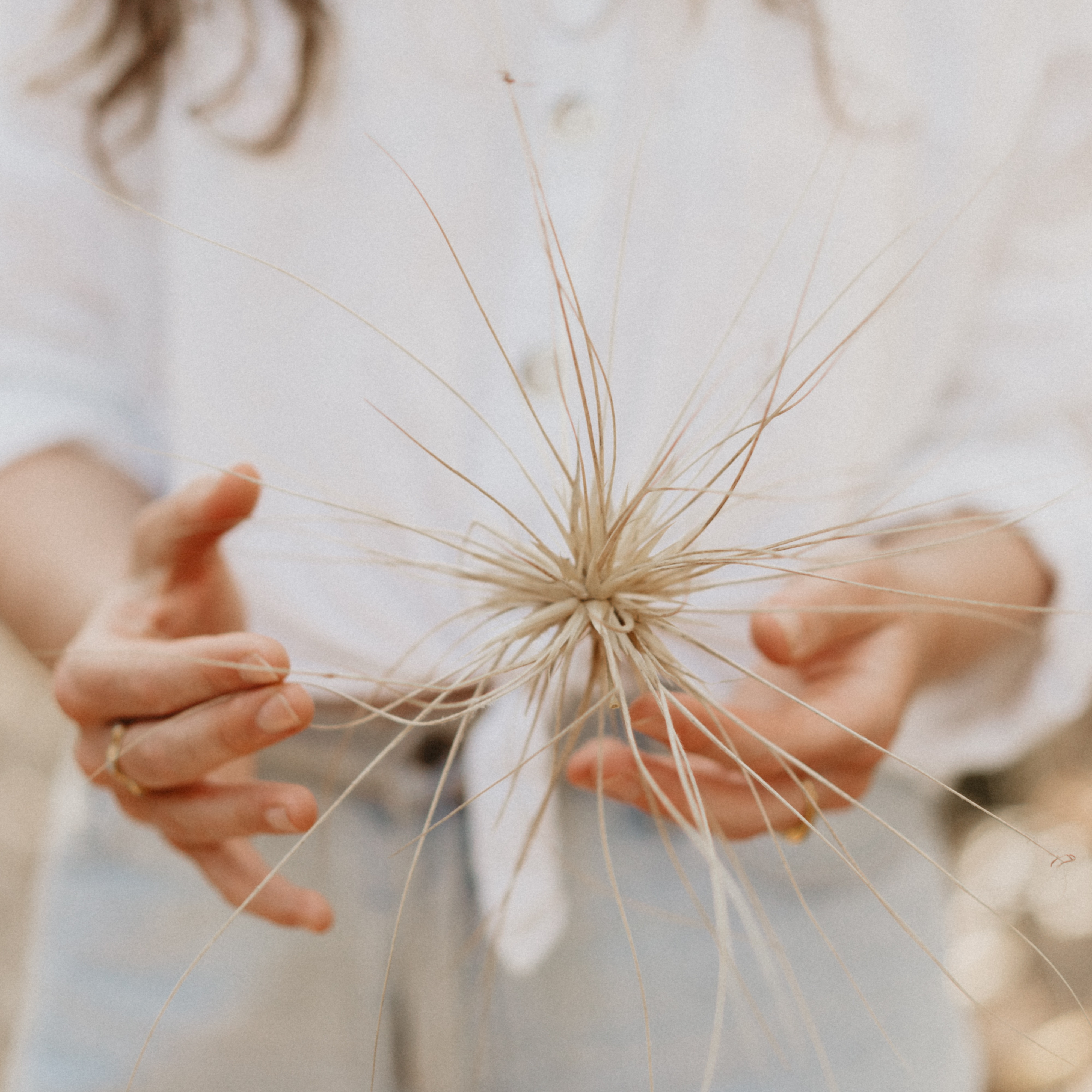 Bookings   thumbnail