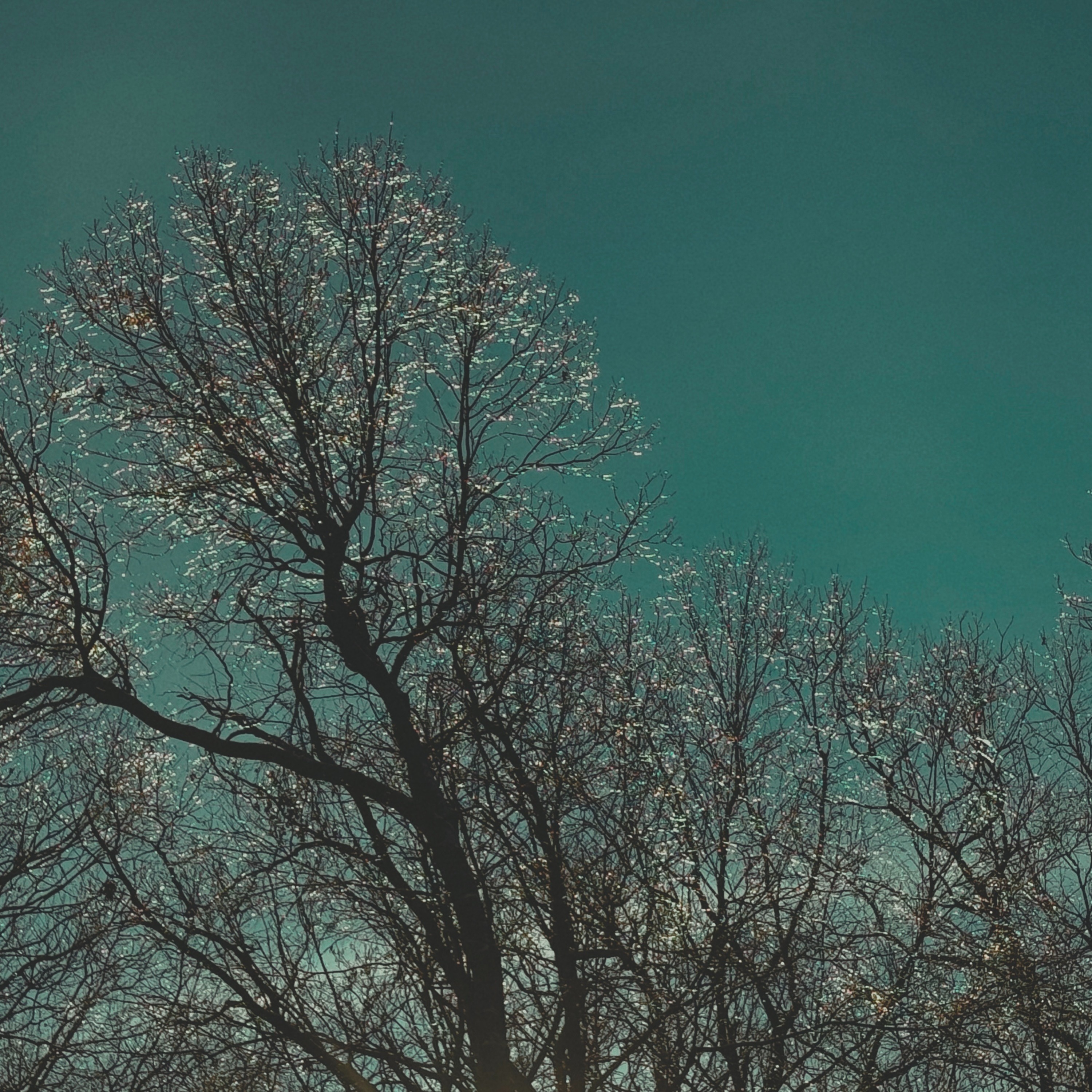 LISTEN TO ANOTHER LIFE thumbnail