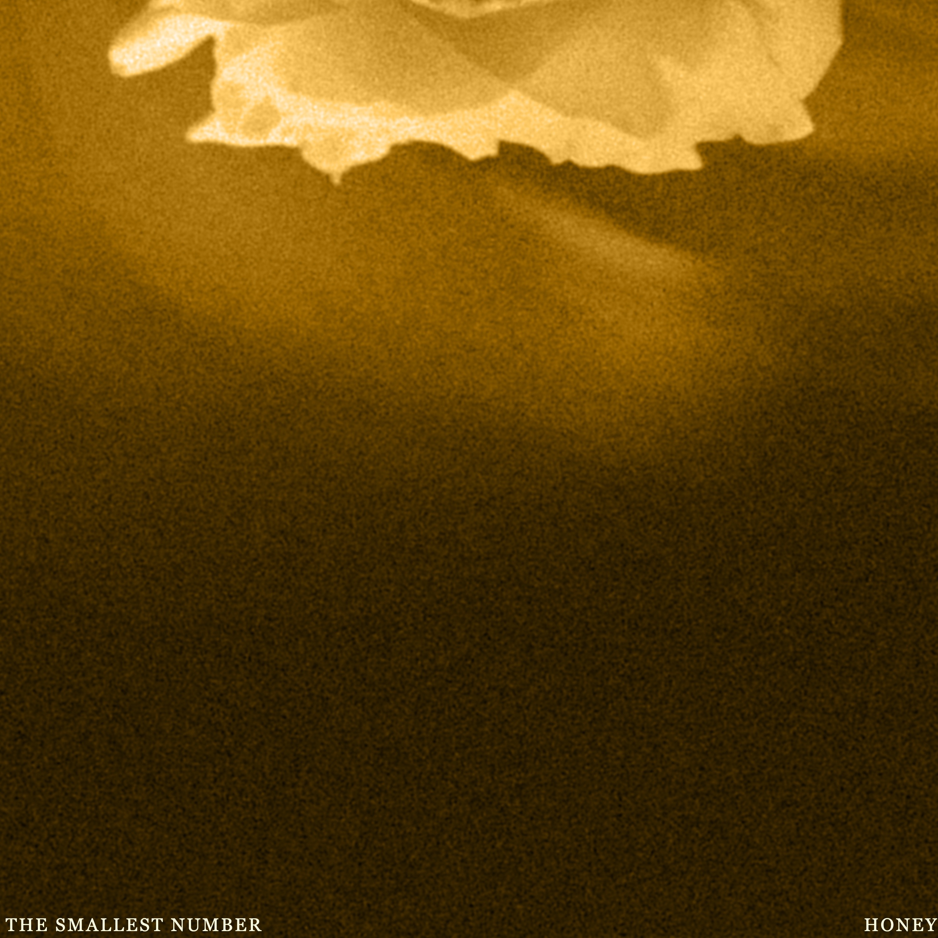 LISTEN TO HONEY thumbnail