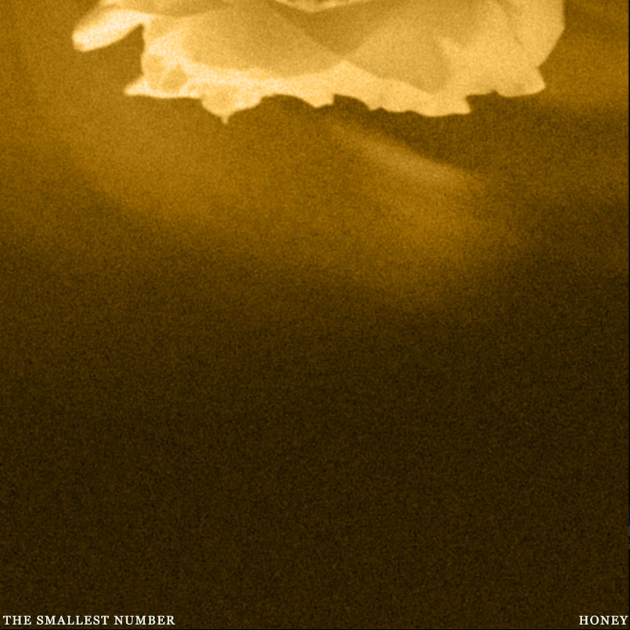 LISTEN TO HONEY thumbnail