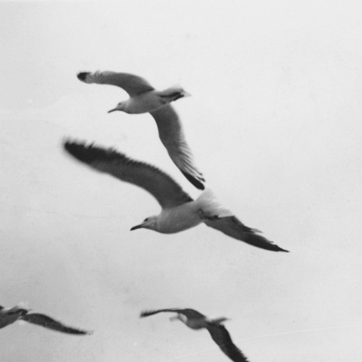 💿 Pre-Save Our Album “As It Is Now, As It Was Then” thumbnail