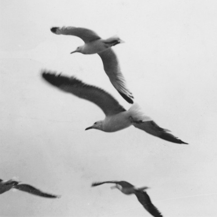 Bandcamp Pre-order - As It Is Now, As It Was Then thumbnail